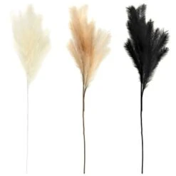 B&M Pampas Stem - Black -Home Accessories Store 372800 395541 394382 pamas stem group 1