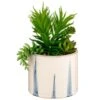 B&M Succulent In Blue Drip Pot 2 B&M Succulent In Blue Drip Pot -Home Accessories Store 380106 succulent in blue drip pot