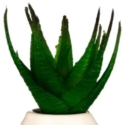 B&M Small Succulent 13 B&M Small Succulent -Home Accessories Store 380107 small succulent 4