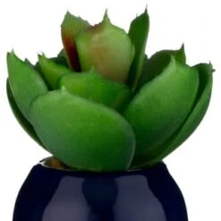 B&M Small Succulent 14 B&M Small Succulent -Home Accessories Store 380107 small succulent 6