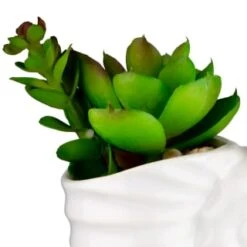 B&M Scandi Shore Small Shell Succulent -Home Accessories Store 380110 small shell succulent 2