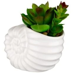 B&M Scandi Shore Small Shell Succulent -Home Accessories Store 380110 small shell succulent 3
