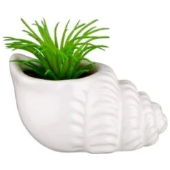 B&M Scandi Shore Small Shell Succulent -Home Accessories Store 380110 small shell succulent 4