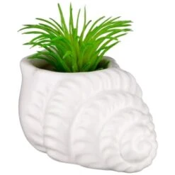 B&M Scandi Shore Small Shell Succulent -Home Accessories Store 380110 small shell succulent 6