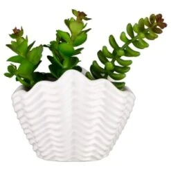 B&M Scandi Shore Small Shell Succulent -Home Accessories Store 380110 small shell succulent 7