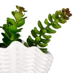 B&M Scandi Shore Small Shell Succulent -Home Accessories Store 380110 small shell succulent 8