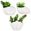 B&M Scandi Shore Small Shell Succulent -Home Accessories Store 380110 small shell succulent group