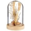B&M Dried Flowers In Cloche - Natural -Home Accessories Store 380163 dried flowers in cloche