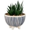 B&M Scandi Shore Stripe Succulent 1 B&M Scandi Shore Stripe Succulent -Home Accessories Store 380604 scandi shore stripe succulent 3