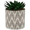B&M Succulent In Botanist Print Pot - Green -Home Accessories Store 380608 patterened pot with succulent