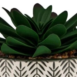 B&M Succulent In Botanist Print Pot - Green -Home Accessories Store 380608 patterened pot with succulent 2