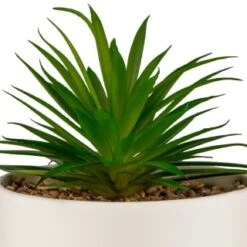B&M Scandi Shore Succulent In White Pot -Home Accessories Store 380696 succulent in white pot 2