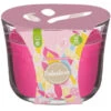 Fabulosa Candle - Pink Lemonade -Home Accessories Store 384845 fabulosa candle pink lemonade