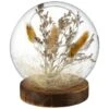 B&M Dried Pampas In Sphere -Home Accessories Store 387526 dried pampas in sphere