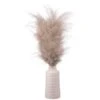 B&M Pampas In White Vase 2 B&M Pampas In White Vase -Home Accessories Store 387577 real pampas in white pot
