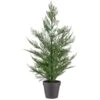 Bloom Conifer Tree In Plant Pot -Home Accessories Store 392865 conifer tree in plant pot