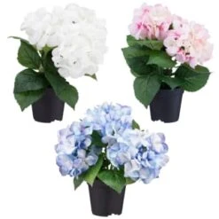 Bloom Hydrangea In Pot - Pink -Home Accessories Store 392961 hydrangea in pot group1