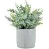 Bloom Eucalyptus In Cement Pot -Home Accessories Store 392965 eucalyptus in cement pot