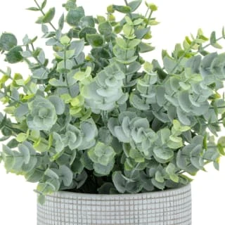 Bloom Eucalyptus In Cement Pot 4 Bloom Eucalyptus In Cement Pot - Image 2