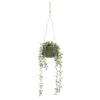 B&M Hanging Foliage In Green Ceramic Pot -Home Accessories Store 394335 hanging green pot foliage