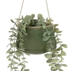 B&M Hanging Foliage In Green Ceramic Pot -Home Accessories Store 394335 hanging green pot foliage 2