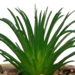 B&M Small Succulent Pot - Stone -Home Accessories Store 394663 small succulent stone 2