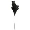 B&M Pampas Stem - Black 1 B&M Pampas Stem - Black -Home Accessories Store 395541 pamas stem black